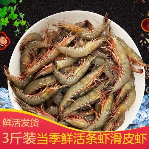 青壳虾滑皮虾鲜活大虾野生带膏金钩虾海鲜新鲜海虾条虾剑虾脆皮虾