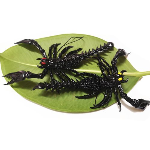 整蛊整人仿真蟑螂逼真蜘蛛蝎子吓人虫子搞怪玩具 毒蝎子动物模型