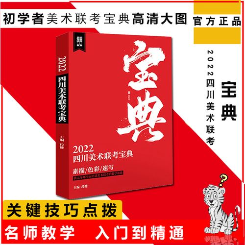 2022四川美术联考宝典敲门砖段健素描头像素描静物色彩静物风景人物