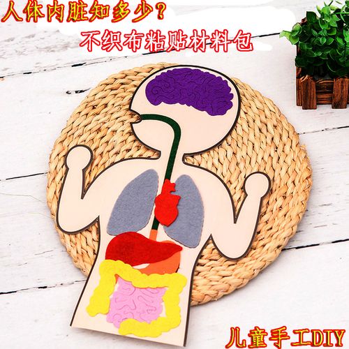 人体内脏器官粘贴认识diy手工不织布贴图材料包幼儿童男女孩中性6