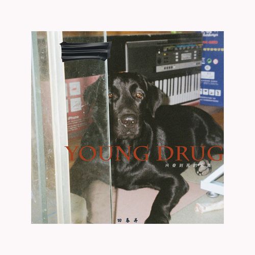 回春丹独立摇滚乐队专辑封面海报宿舍墙贴桌面装饰画咖啡厅画报