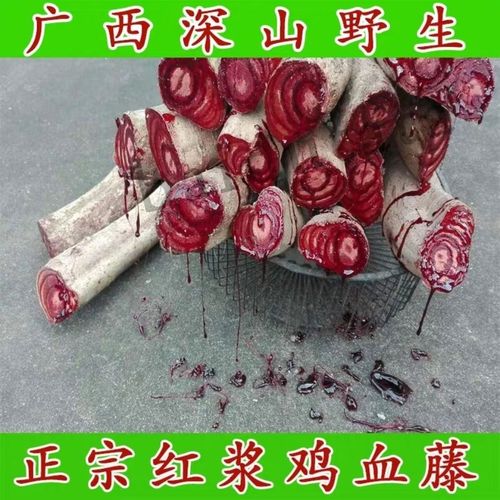 红浆鸡血藤中药材 野生鸡血藤大血藤 鸡血屯 老血藤各规格齐全