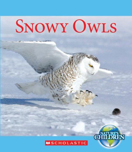 【预订】snowy owls