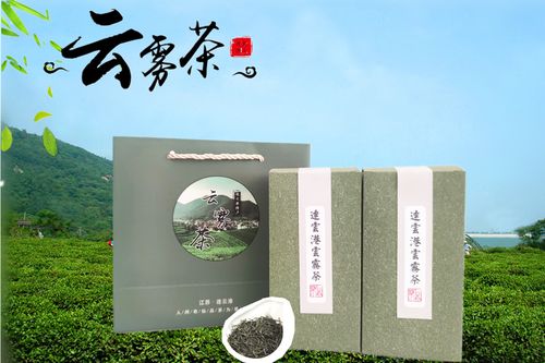 2021新茶正宗连云港特产云雾茶江苏花果山高山夏季绿茶半斤装包邮