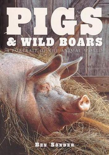 【预售】pigs & wild boars: a portrait of the animal world