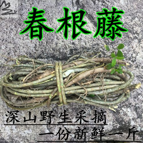 深山野生新鲜春根藤 阿利藤 小号香根藤 煲汤泡酒 瓜子藤 过山香