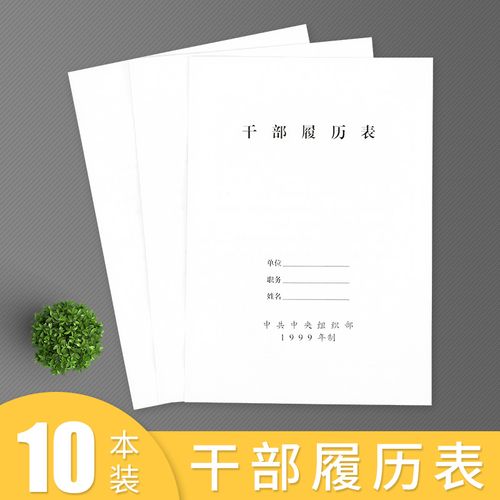 冀康干部人事履历表 职工履历表 干部履历表 员工履历表 人事档案配套