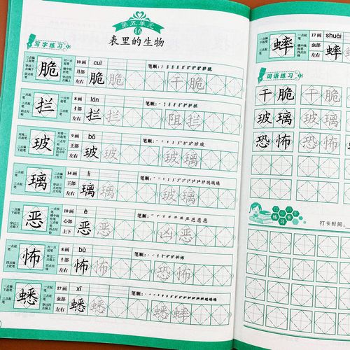 部编人教版六年级下册写好规范字菱形十字格写字法课本同步练字帖