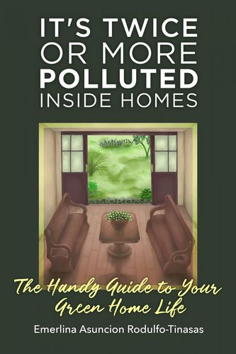 it"s twice or more polluted inside homes