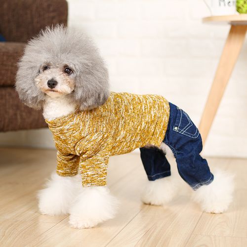 狗狗衣服小狗秋冬装小型犬幼犬泰迪毛衣外出两脚衣四脚衣宠物春装
