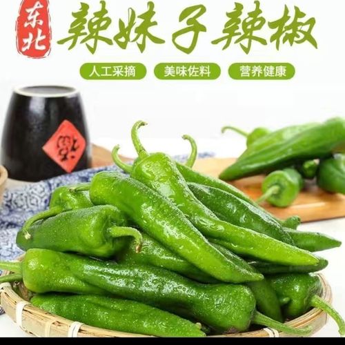 东北特产辣妹子特辣小青椒朝天椒小米椒鲜椒新鲜现摘