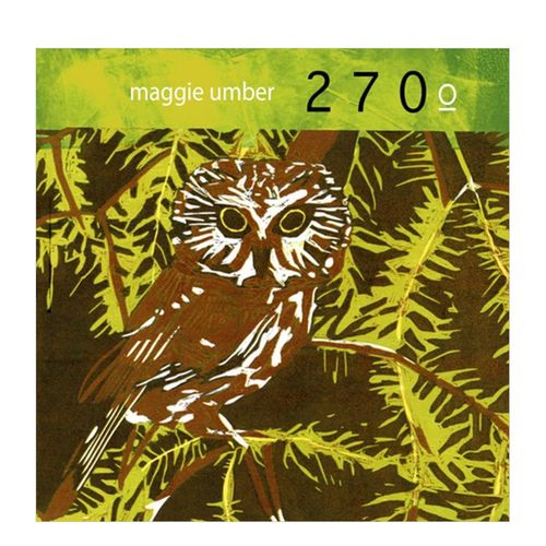 270° 关于自然界中的猫头鹰 漫画家maggie umber 英文原版独立漫画