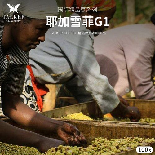 talker脱壳埃塞俄比亚耶加雪菲新鲜烘焙手冲精品咖啡豆100g小包装