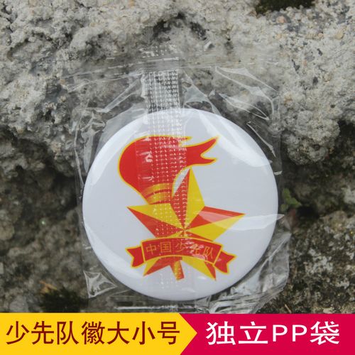 少先队队徽标准型少先队徽小学生少先队员徽章大磁铁