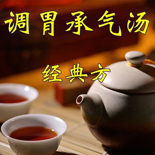 调胃承气汤  非袋泡茶  1副   一天量