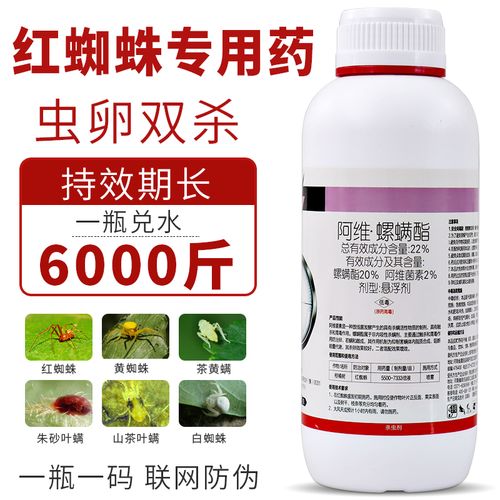 阿维螺螨酯红蜘蛛专用药柑橘果树蔬菜辣椒花卉高效农药杀虫杀螨剂 100