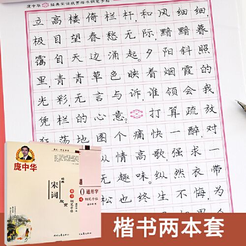 正版现货 庞中华硬笔书法 经典宋词欣赏系列:楷书钢笔字帖 常用7000字
