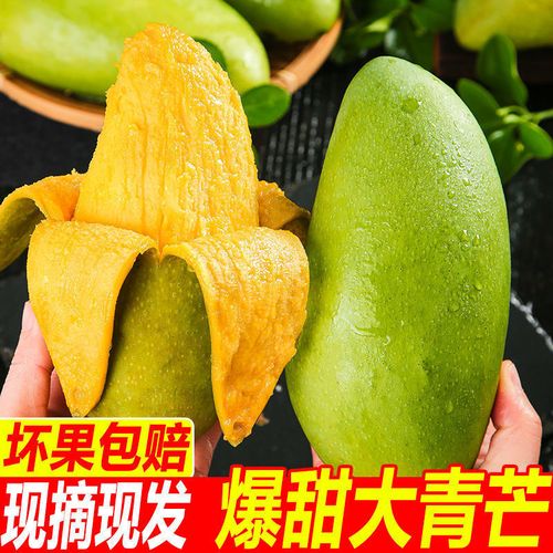 【新鲜速发】海南大青芒新鲜芒果玉芒大青芒果带箱10斤新鲜水果特大