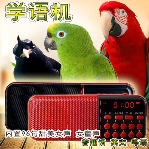包邮八哥鹩哥鹦鹉鸟用学语机学说话机复读机学舌器教