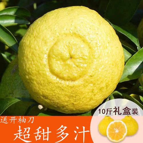 湖南洪江黄金贡柚子甜桔柚春香柚象山青新鲜小柚子10斤礼盒装