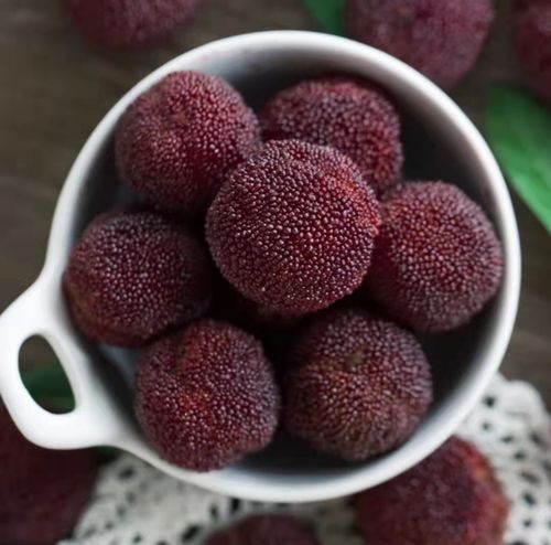 仙居杨梅东魁杨梅新鲜水果正宗浙江孕妇甜水果整箱礼盒装现摘先包