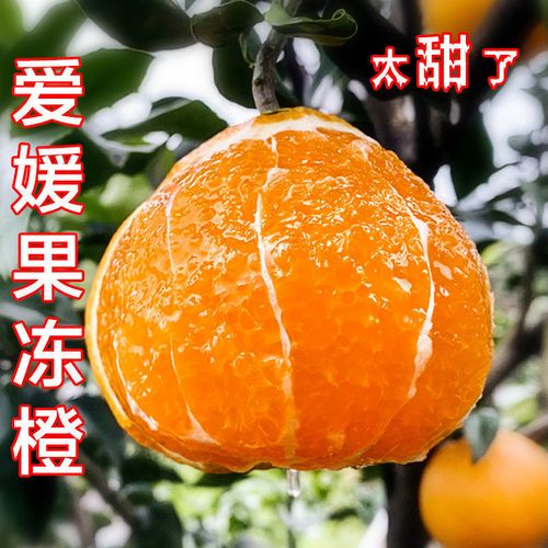 【爆汁】四川爱媛38号果冻橙超甜薄皮橙子水果新鲜手剥橙整箱批发