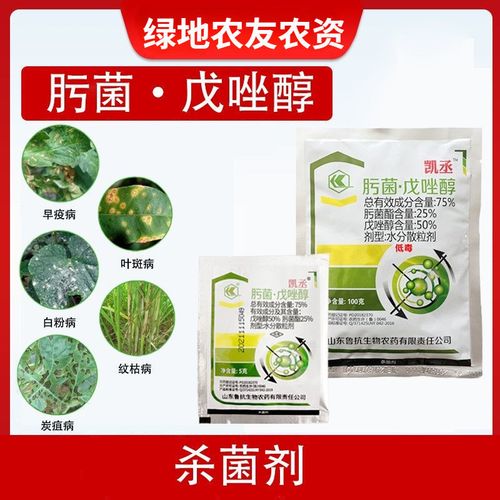 鲁抗凯丞75%肟菌戊唑醇杀菌剂炭疽病锈病白粉病黑星病水稻纹枯病