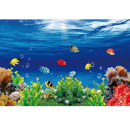 动物画海底世界墙贴海报风景挂画 鱼缸背景图墙画水族馆装饰贴画