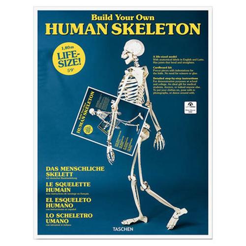 【预订】build your own human skeleton life size 建立自己的人
