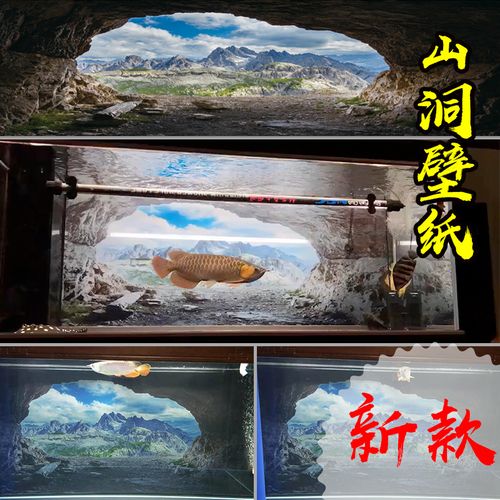 【严选好货】红龙鱼缸背景画 新鱼缸背景纸贴纸壁画红龙鱼缸纯黑高清