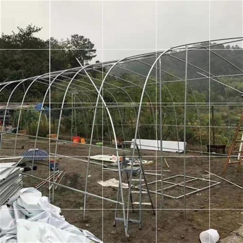 羊圈棚架猪d舍温室花房钢管鸡舍鸡棚搭g建配件菜园养