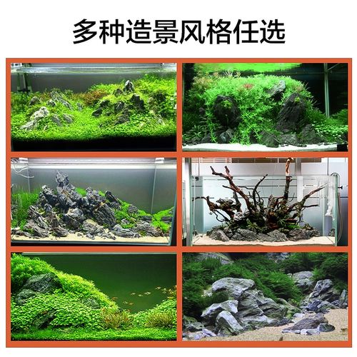 i鱼缸造景装饰套餐水族箱真水f草青龙石松皮水草泥沉木造景石2022