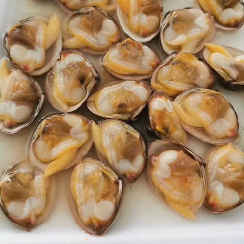 顺丰4袋丹东特产真空大黄蚬子冰鲜黄蚬子开袋即食原汁原味熟海鲜