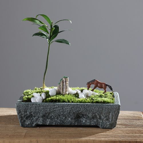 青石花盆小石槽养鱼菖蒲石头盆景盆复古大号盆景花盆山水造景盆