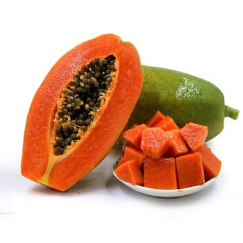 木瓜树苗大青红肉水果木瓜四季矮化红心木瓜苗当年结果牛奶冰糖苗 红