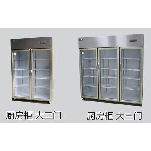 大二门厨房柜冰柜展示柜立式两门二门冷藏保鲜冰柜冰箱陈列柜冷柜