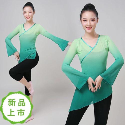 民族舞身韵舞蹈纱衣古典舞练功服女成人形体网纱舞蹈服装练功上衣
