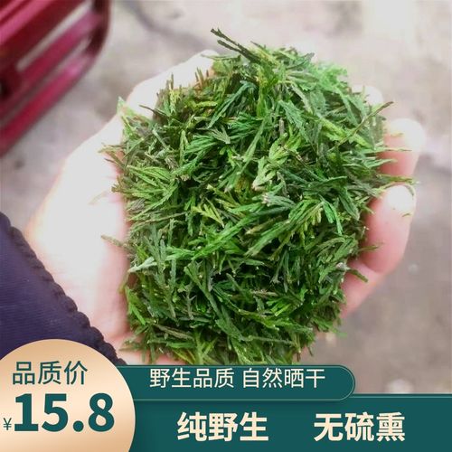 天然阴干侧柏叶野生新鲜无硫洗头防脱增乌发黑养发泡酒茶
