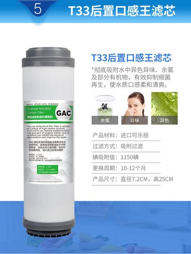 威世顿净水器原装正品10寸平压后置gac颗粒活性炭滤芯 大t33通用