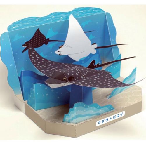 纸模制作册diy手工作业益智玩具仿真海洋生物魔鬼鱼 3d立体纸模型