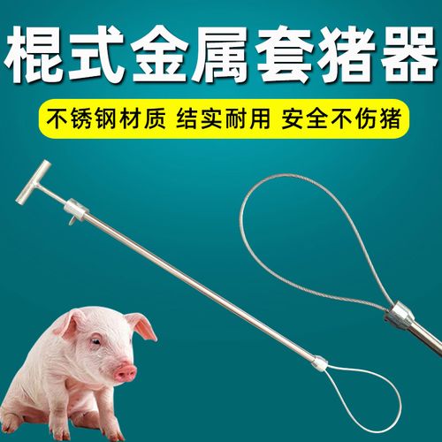 套猪器钢丝绳钢丝套猪用绳式套猪器棍式套猪杆保定器猪套子套狗器