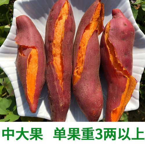 【精选生鲜】六鳌沙地西瓜红蜜薯5斤糖心番薯新鲜现摘红心红薯地瓜