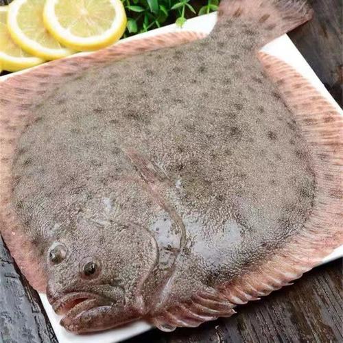 海鲜水产鲜活海鱼新鲜多宝鱼野生冷冻深海鱼大比目鱼鸦片鱼石斑鱼
