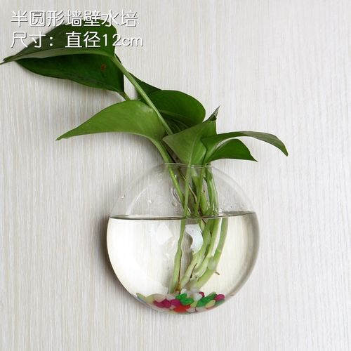 水培玻璃花瓶绿萝瓶子养绿萝悬挂式透明插花盆壁挂