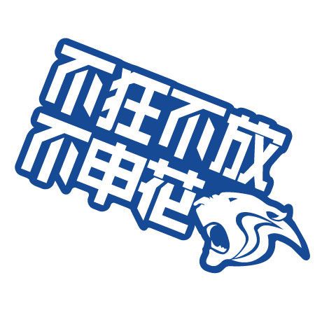 中超上海申花队车标口号不狂不放不申花车身挡风玻璃透视车贴纸