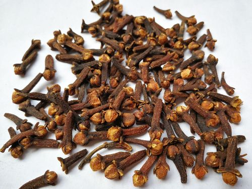 公丁香500g包邮 新货 香料公丁香茶 丁香粉花钓鱼中药材香辛料