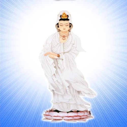 观音菩萨 画像 挂像 观世音菩萨 南无观世音菩萨 佛像