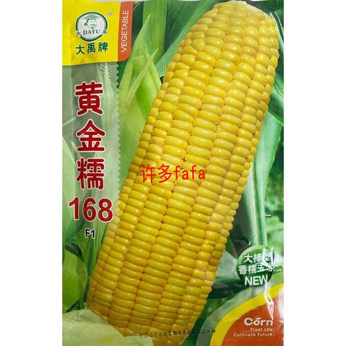 大禹牌 黄金糯168玉米种子大棒香甜糯口红甜糯玉米种籽大田用种孑