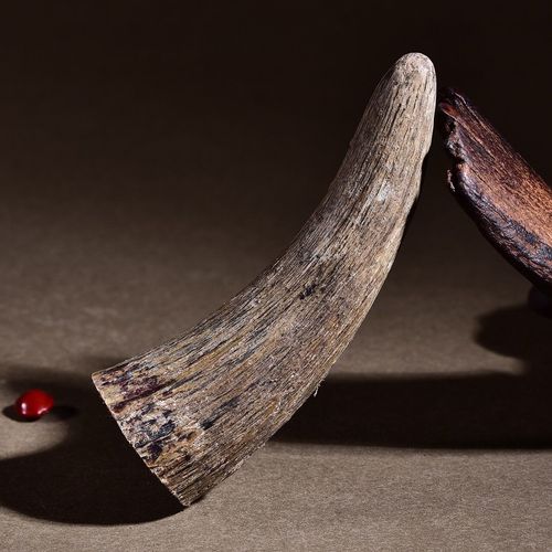 文玩把件披毛犀角整角角尖 珍贵工艺品收藏手把件养生文玩摆件