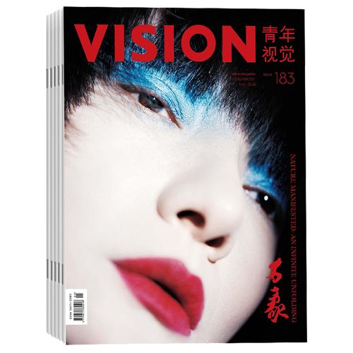 青年视觉 vision杂志2022年全年杂志订阅4月起订季刊一年共4期 3/6/9